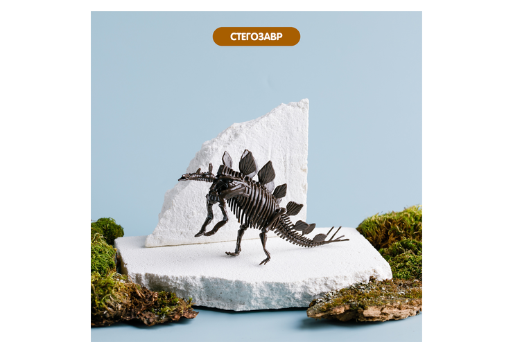 3D конструктор «Скелет динозавра»
