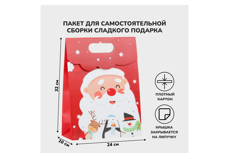 Пакет подарочный, большой Пакет подарочный, большой