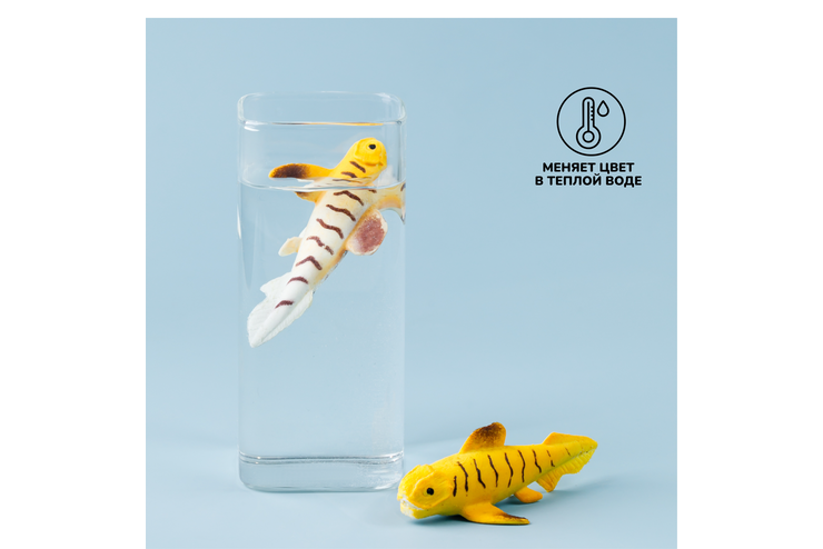 Волшебные рыбки